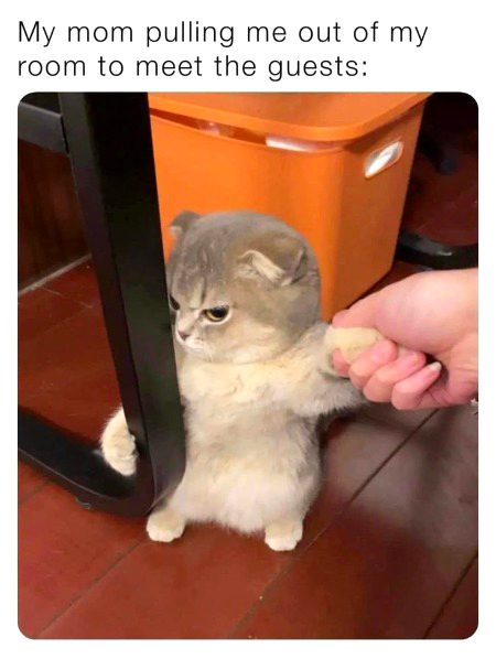 Memes & Satire image
