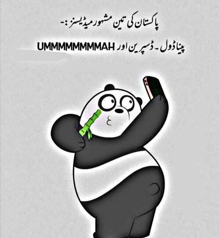 Memes & Satire image