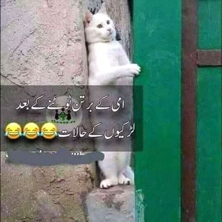 Funny joke