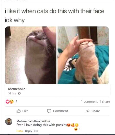 Memes & Satire image