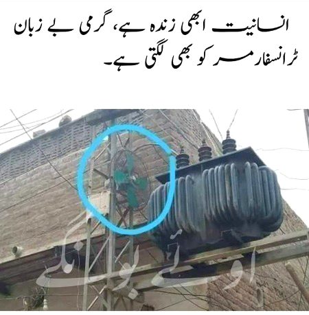 Memes & Satire image