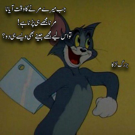 Memes & Satire image