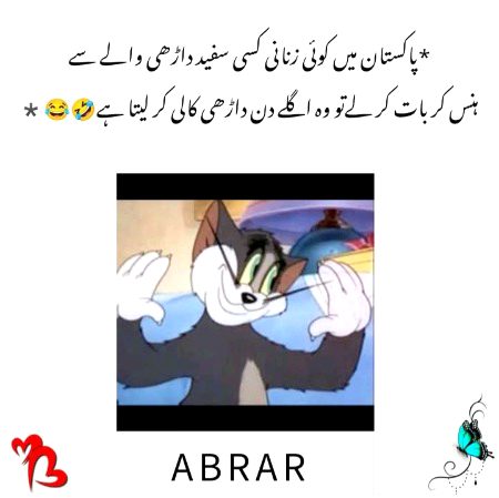 Memes & Satire image