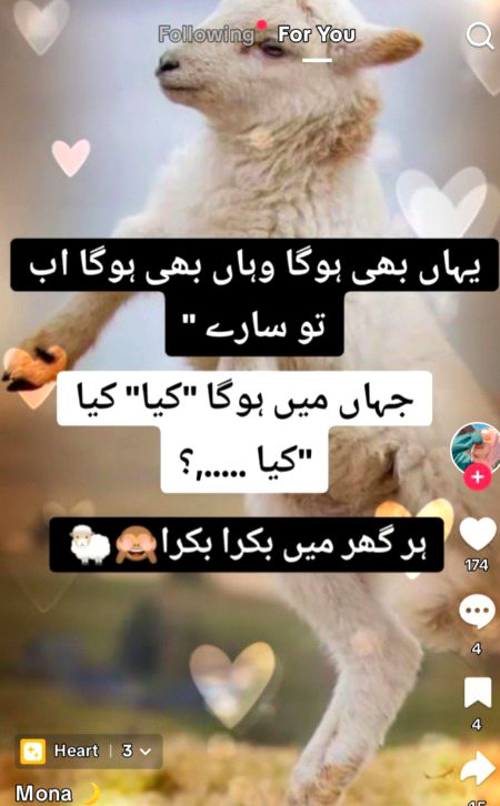 Funny joke