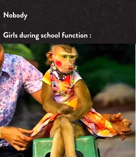Memes & Satire image
