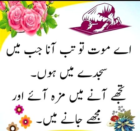 Islamic Quotes image