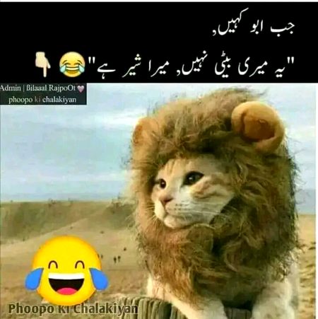 Memes & Satire image