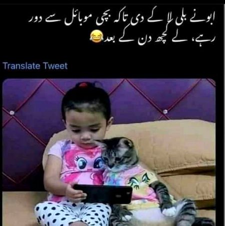 Memes & Satire image