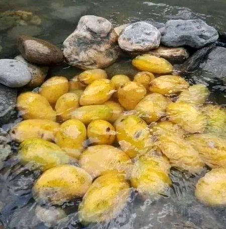 Beautiful Nature image