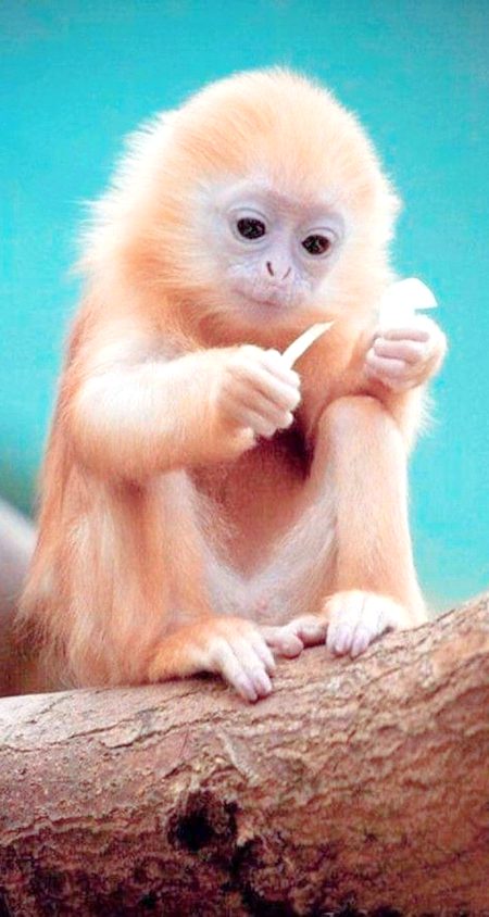 Beautiful Nature image