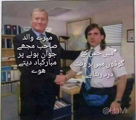 Memes & Satire image