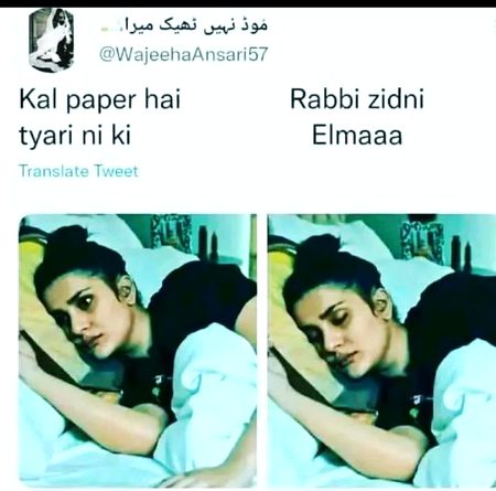 Memes & Satire image