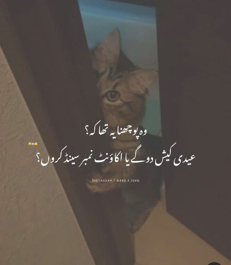 Memes & Satire image