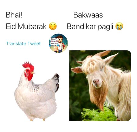 Memes & Satire image