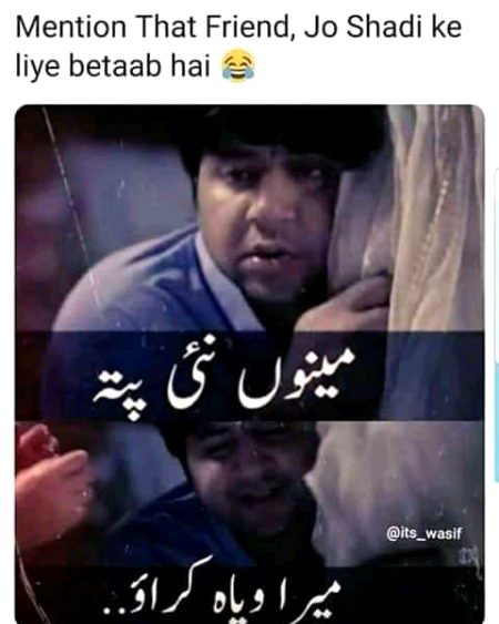 Memes & Satire image