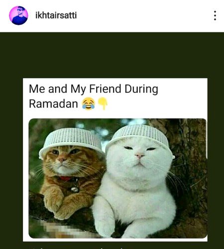 Memes & Satire image