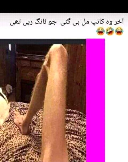 Memes & Satire image