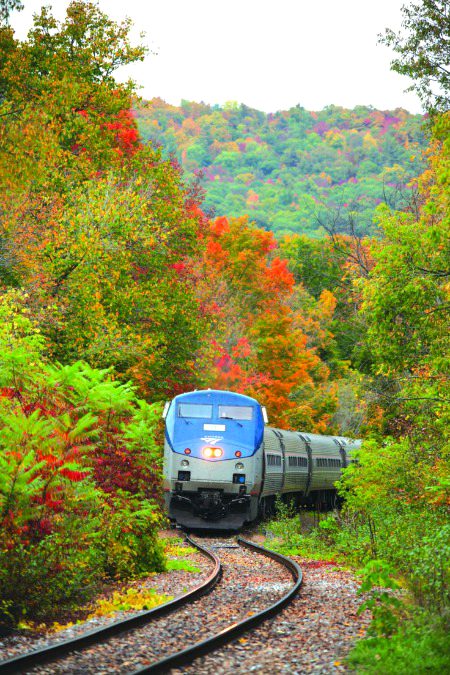 Beautiful Structures image