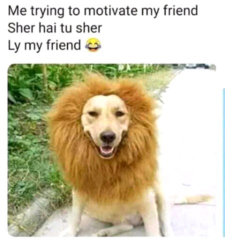 Funny joke