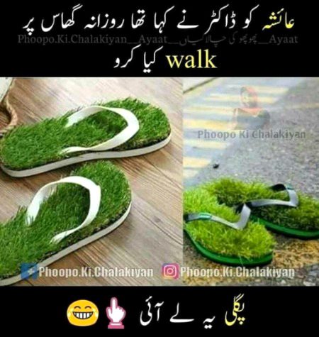 Memes & Satire image