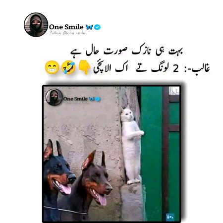 Memes & Satire image