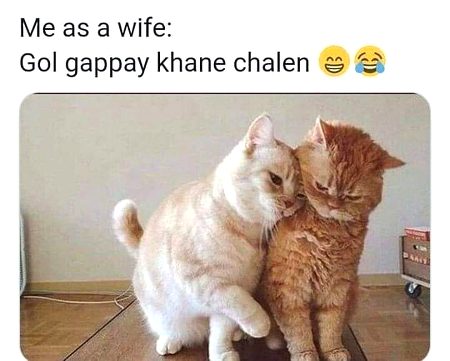Memes & Satire image