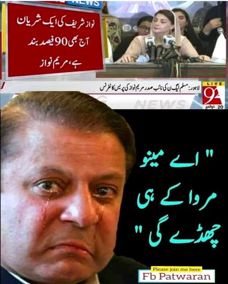 Memes & Satire image