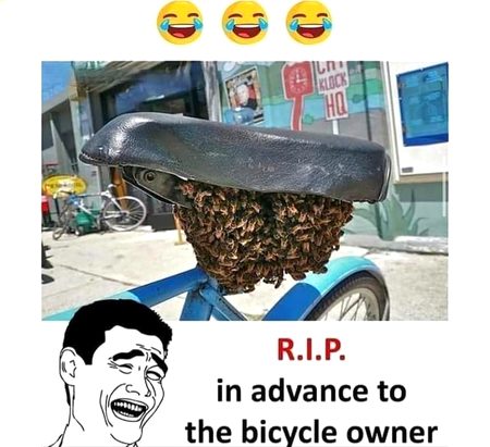 Memes & Satire image