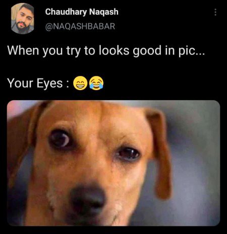 Memes & Satire image