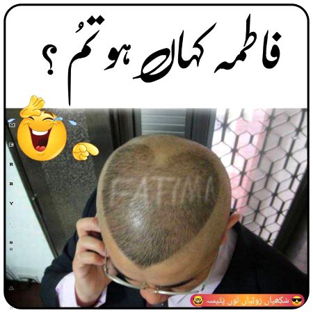 Memes & Satire image