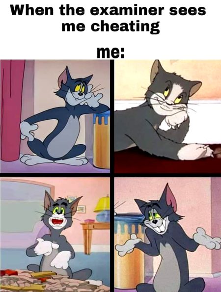 Memes & Satire image