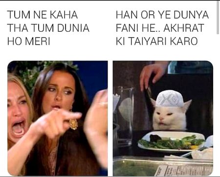 Memes & Satire image