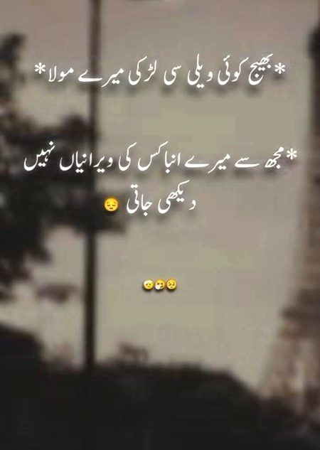 Memes & Satire image