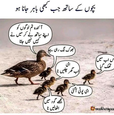 Memes & Satire image