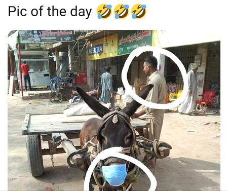 Funny joke