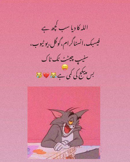 Memes & Satire image