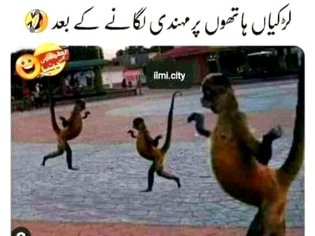 Jokes image
