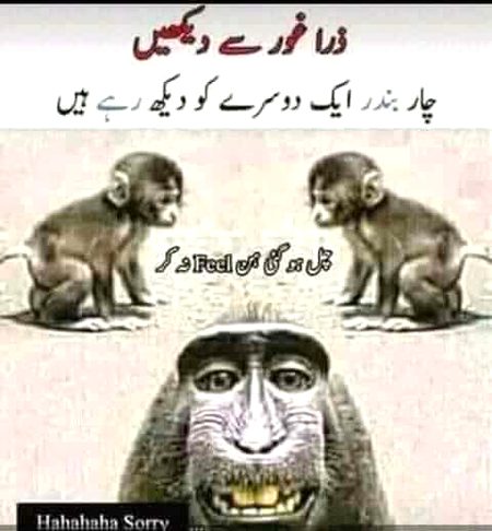 Funny joke