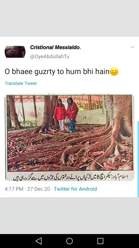 Memes & Satire image