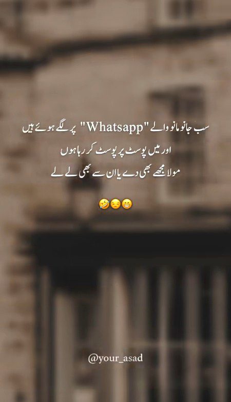 Memes & Satire image