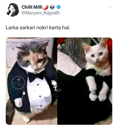Memes & Satire image