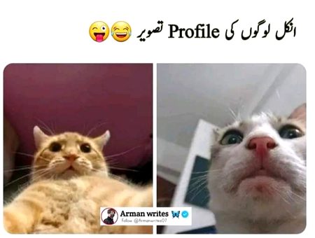 Memes & Satire image