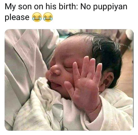 Memes & Satire image