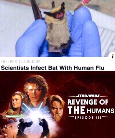 Memes & Satire image