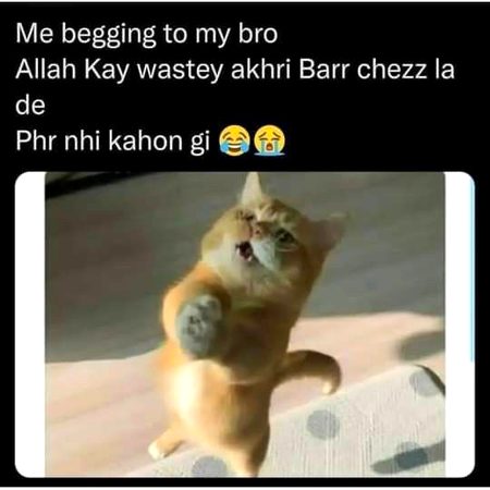 Memes & Satire image