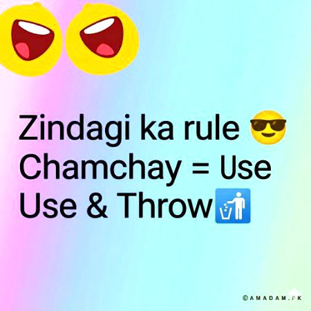 Attitude Quotes image