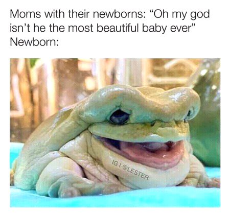 Memes & Satire image