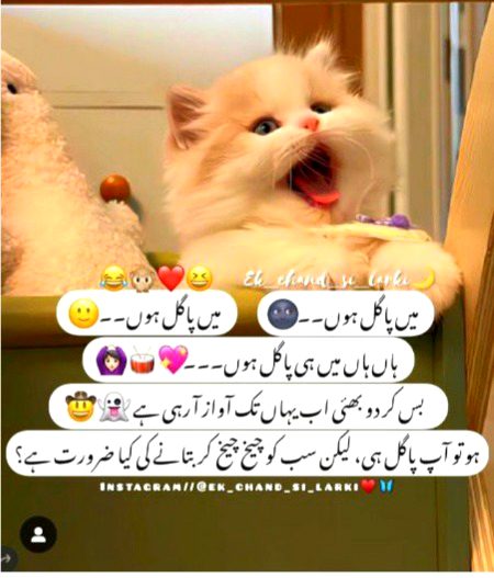 Jokes image