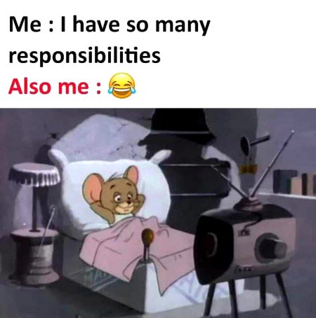 Memes & Satire image