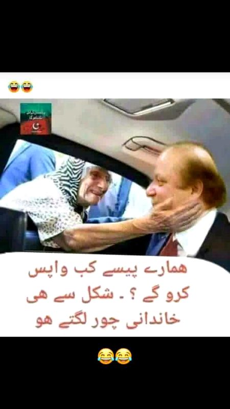 Memes & Satire image